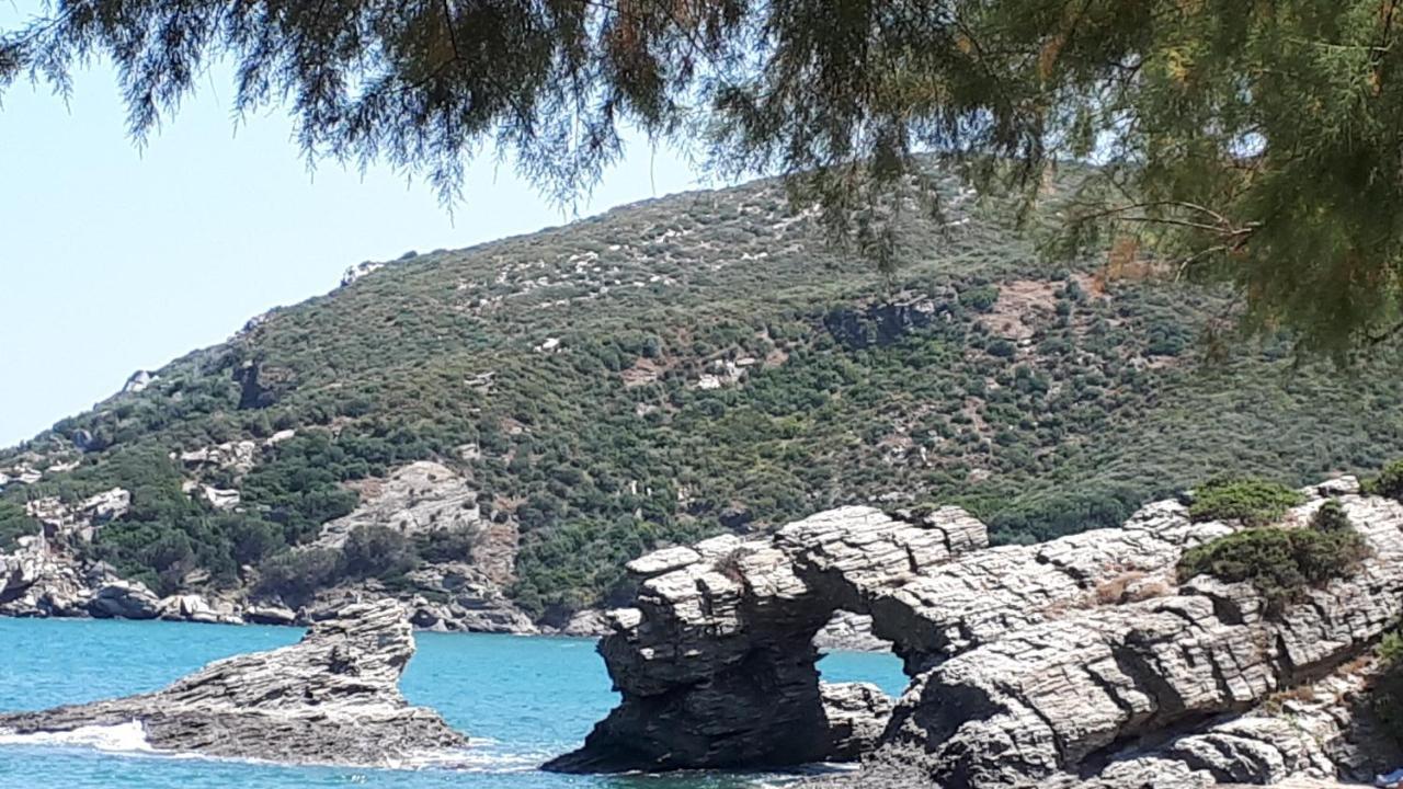 Oxílithos Ellina'S Home - Euboea Island Greece מראה חיצוני תמונה