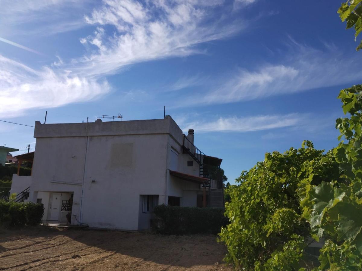 Oxílithos Ellina'S Home - Euboea Island Greece מראה חיצוני תמונה