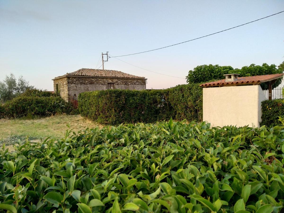Oxílithos Ellina'S Home - Euboea Island Greece מראה חיצוני תמונה